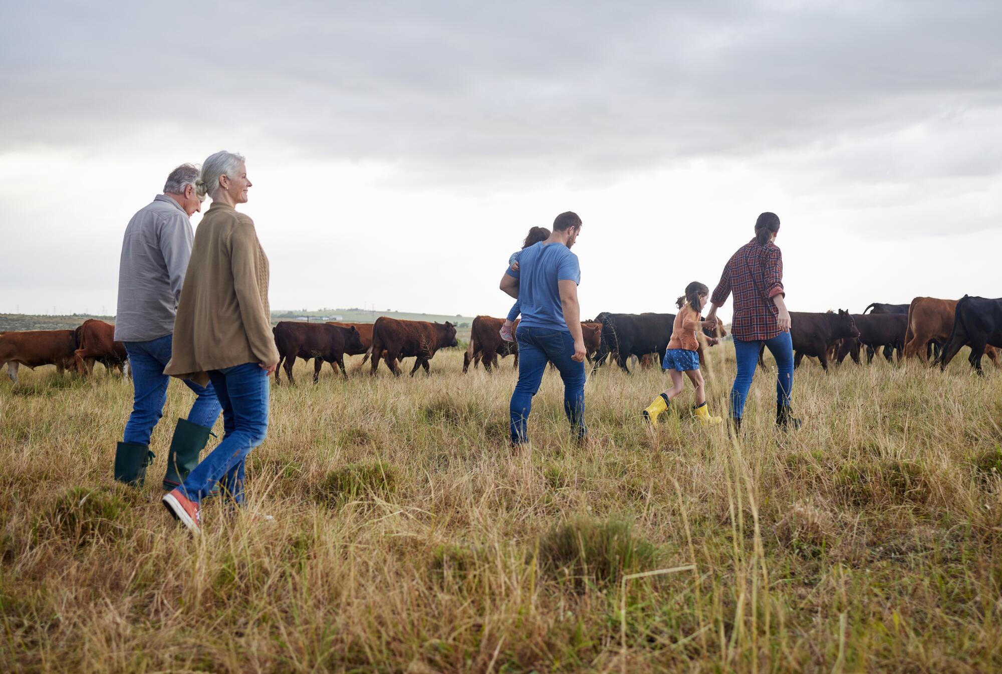 Family at the farm